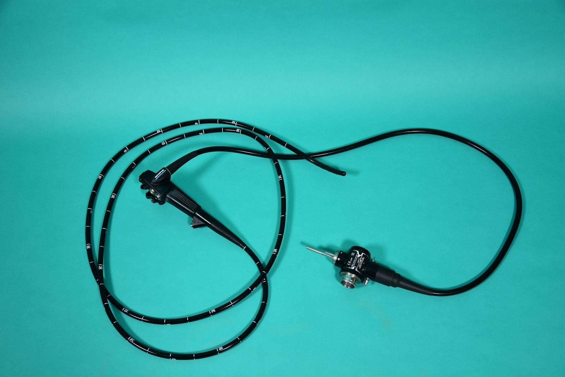 OLYMPUS Gastro-Vet 240 P: video gastroscope