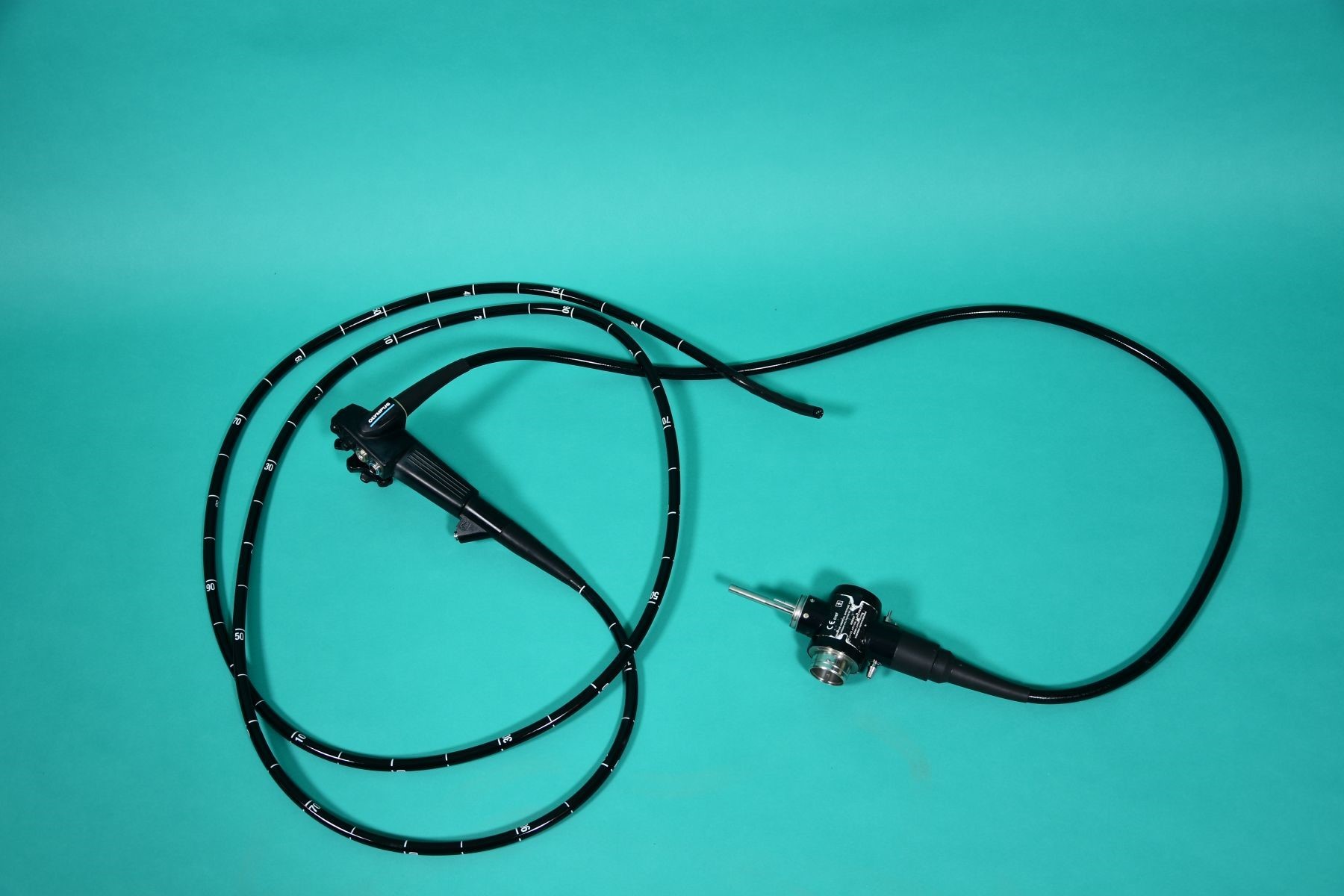 OLYMPUS Gastro-Vet 240 P (Video-Gastroskop für Pferde)