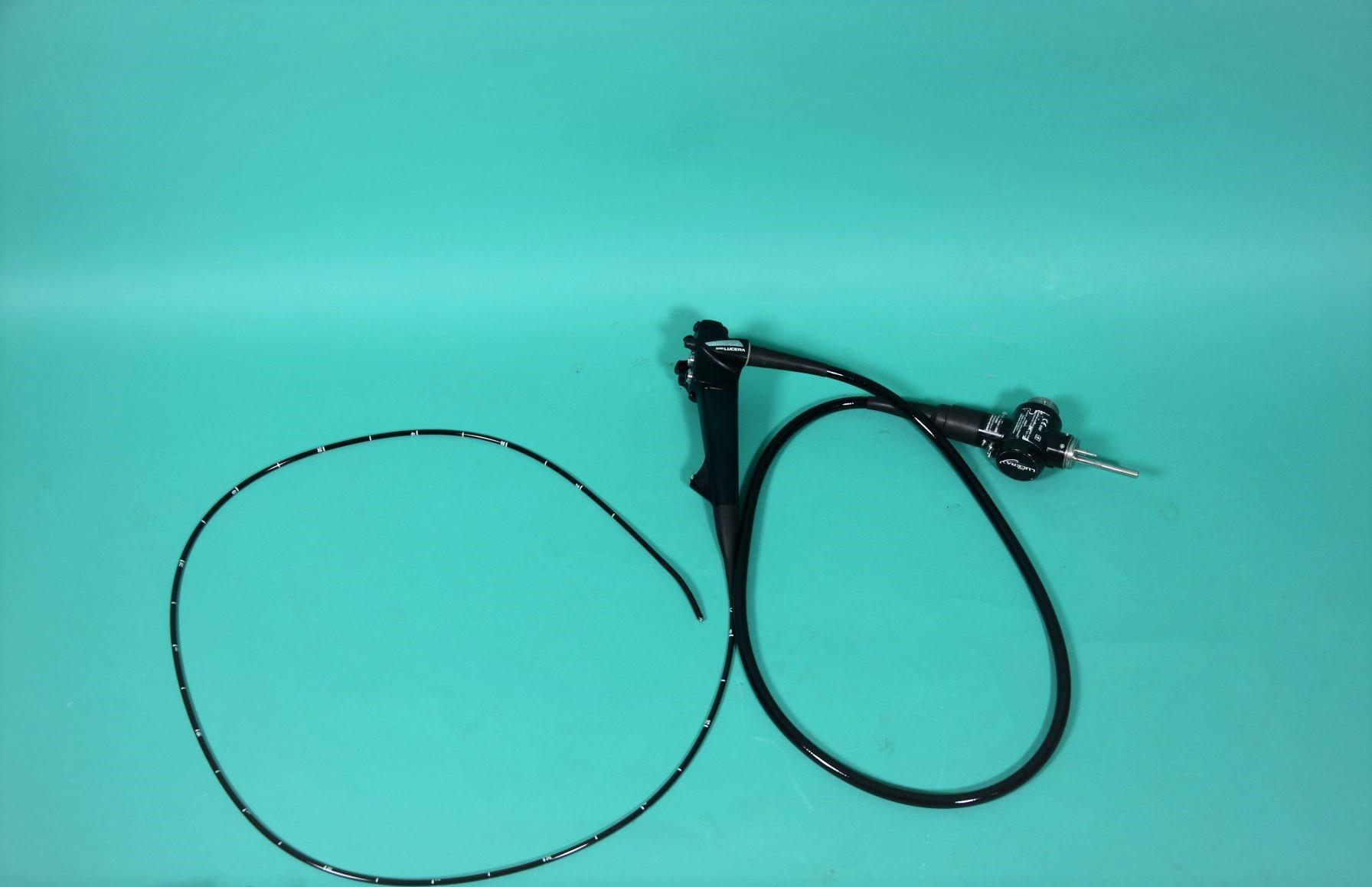 OLYMPUS Gastro-Vet 240K (video-gastroscopio per
animali di piccola